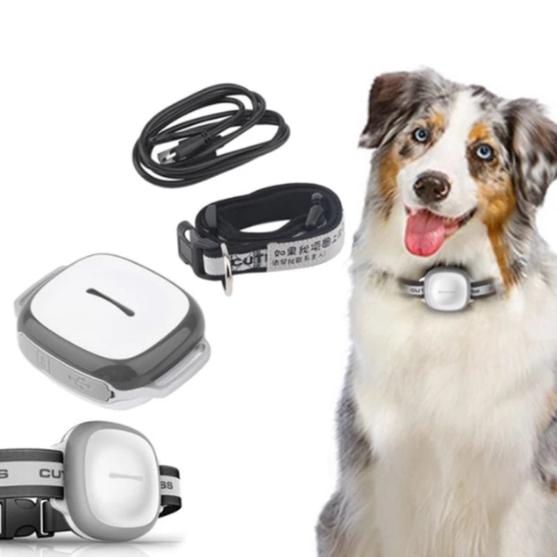 Rastreador de perros y gatos con collar Localizador de mascotas