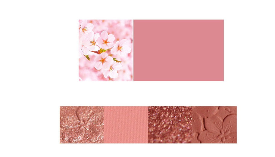 Paleta de sombras de ojos NOVO