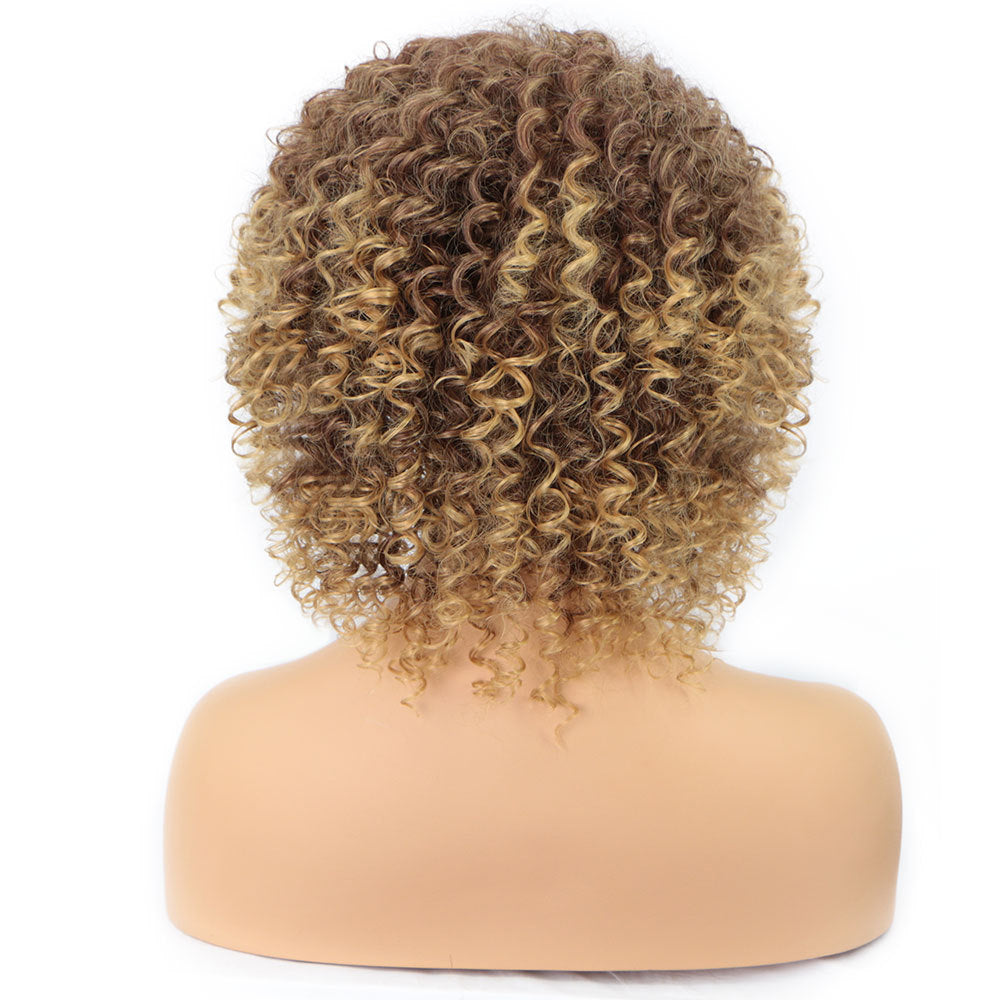 Pelucas transfronterizas, moda europea y americana, pelucas africanas pequeñas y rizadas para damas, peluca africana con cabeza explosiva.