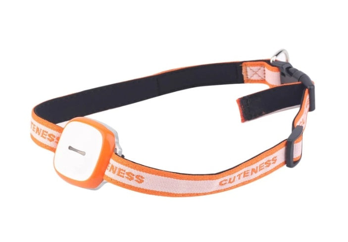 Rastreador de perros y gatos con collar Localizador de mascotas