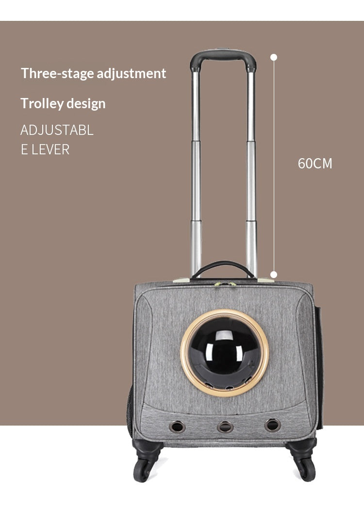 Transportín portátil para mascotas con ruedas universales