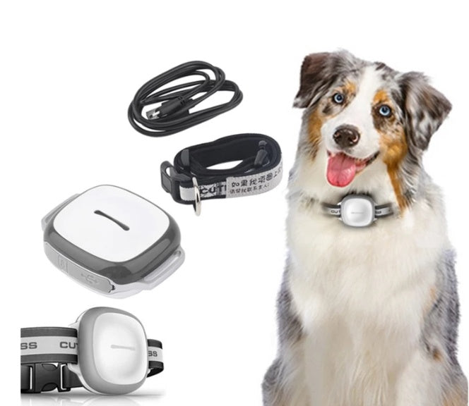 Rastreador de perros y gatos con collar Localizador de mascotas