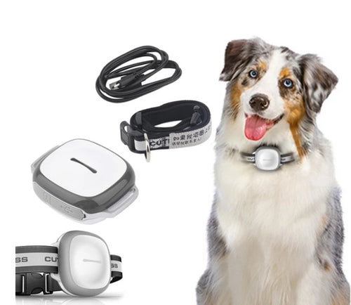 Rastreador de perros y gatos con collar Localizador de mascotas