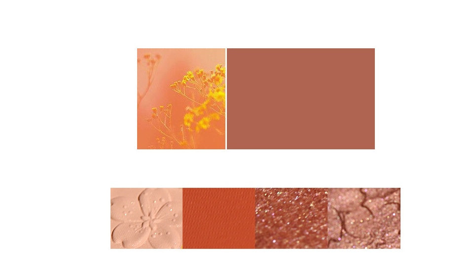 Paleta de sombras de ojos NOVO