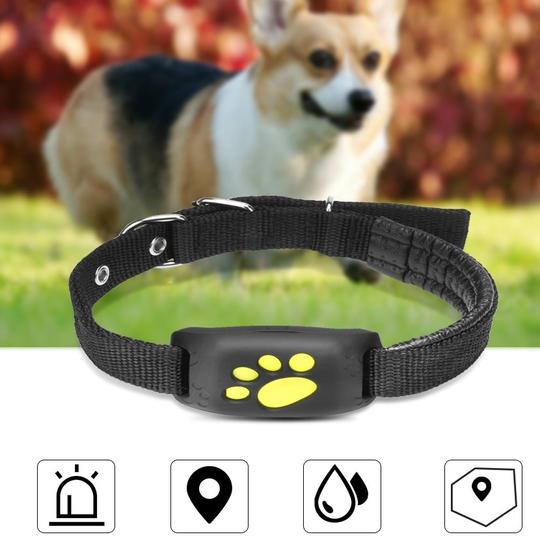 GPS Pet Tracker Women Casual Fashion Everyday Streetwear