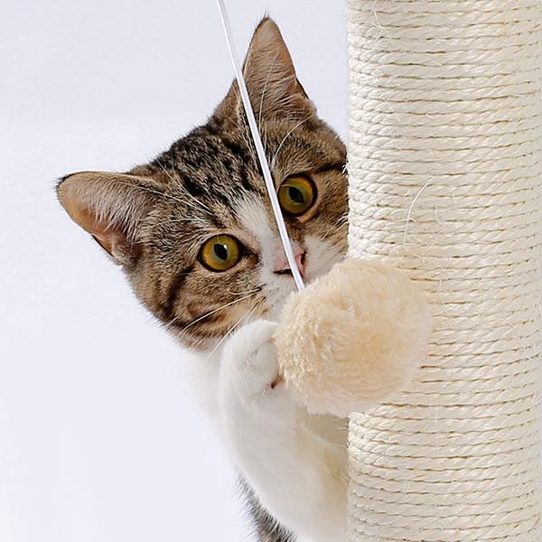 Indoor Cat Soft Scratching Board And Interactive Ball Track Toy Cat Rest And Grooming Supplies