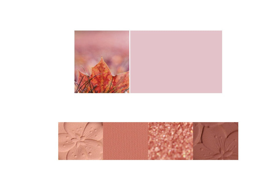 Paleta de sombras de ojos NOVO