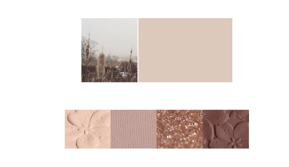 Paleta de sombras de ojos NOVO