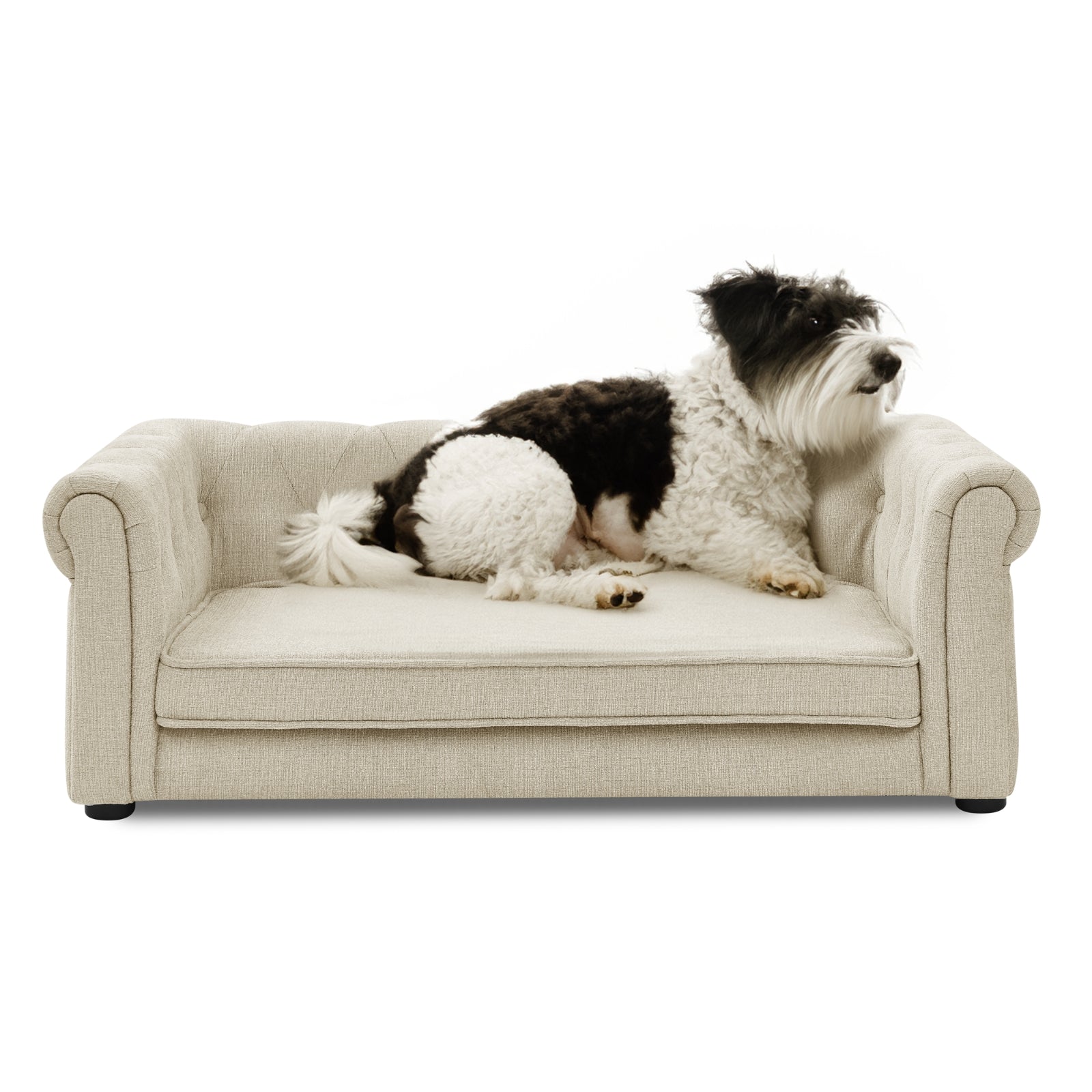 Elegante cama rectangular para perros medianos y grandes, sofá cama elevado y duradero, cómodo.