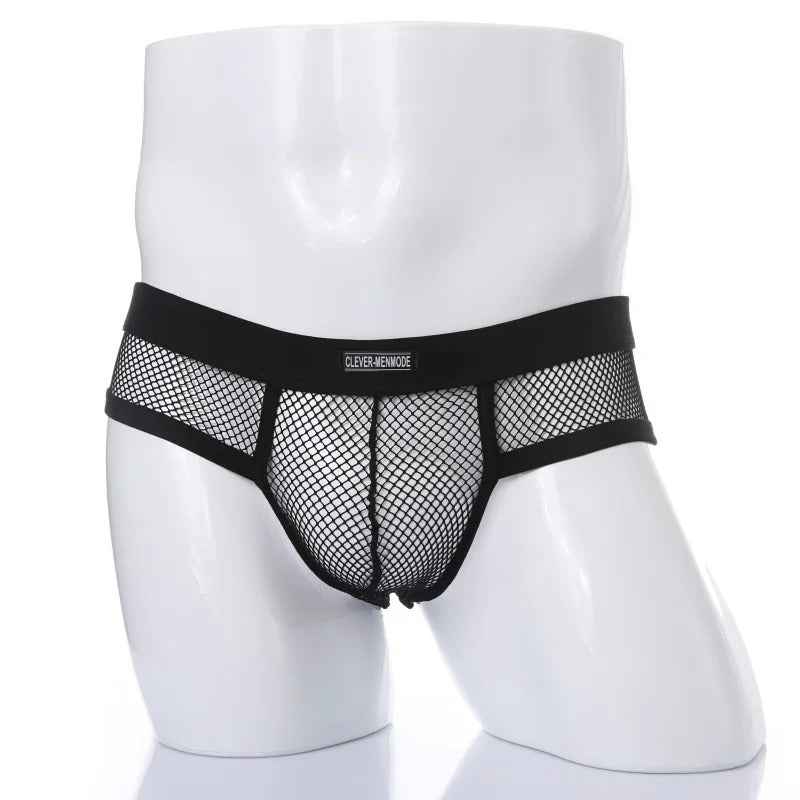 Calzoncillos de malla para hombre, diseño sexy de tiro bajo, nuevo estilo
